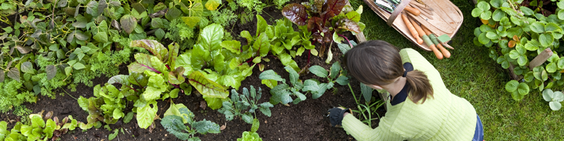 Enrich Pro-Grow Pro-Grow premium quality topsoil