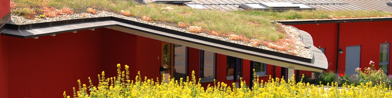 Enrich Lightweight Green Roof Soil image
