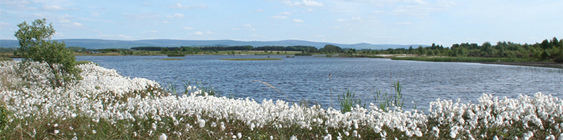 Bord na Mona Visitors Centre Lough Boora