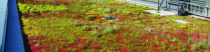 Sustainable urban drainage systems