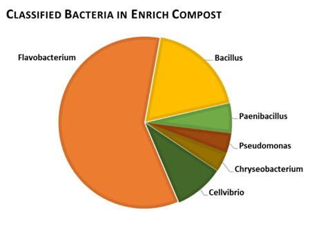 Classified Bacteria in Enrich Compost